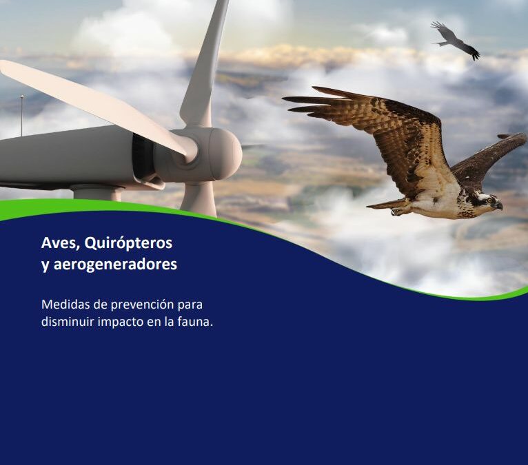 GIZ presents studies on birds, bats and wind turbines