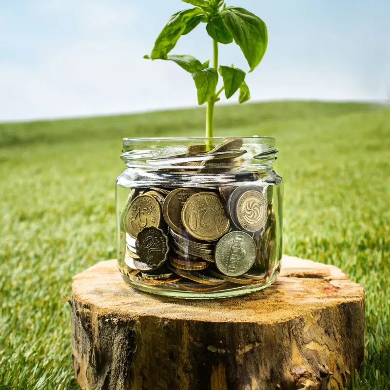 FINANCIAMIENTO